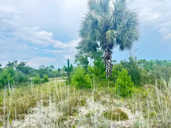 Port St. Joe, FL 32456,193 Beach St