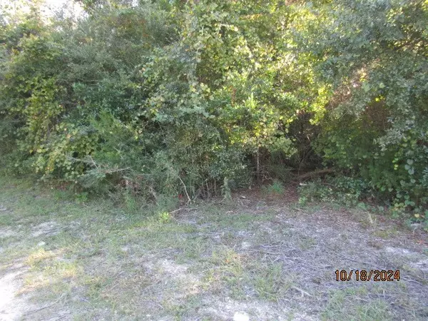 Carrabelle, FL 32322,158 Kansas St