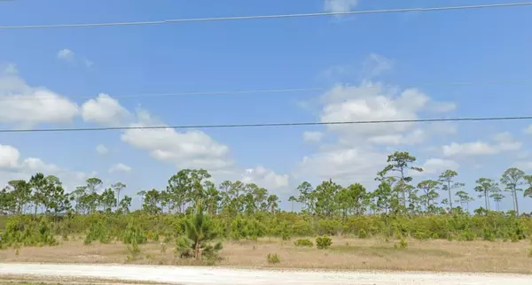 Cape San Blas, FL 32456,Lot 24 Shallow Reed Dr