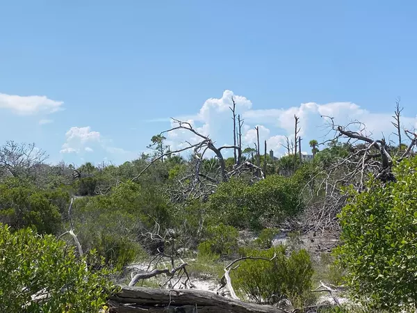 Cape San Blas, FL 32456,138 Sanuk Dr