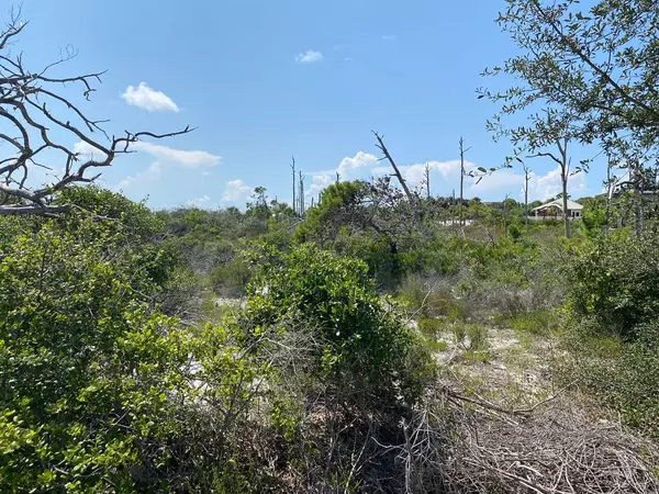 Cape San Blas, FL 32456,150 Sanuk Dr