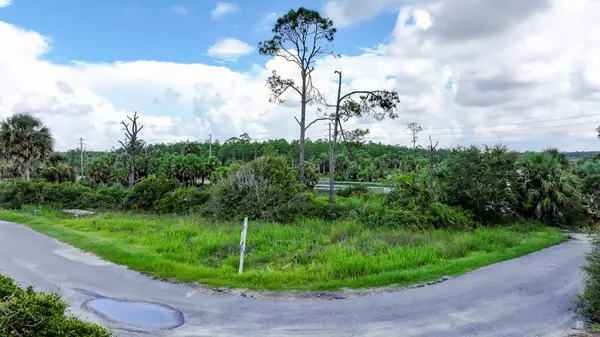 Port St. Joe, FL 32456,1 Sweetwater Shores Dr