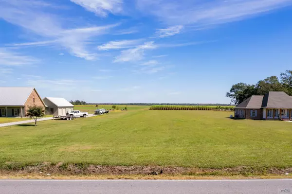 TBD Highway 308, Napoleonville, LA 70390