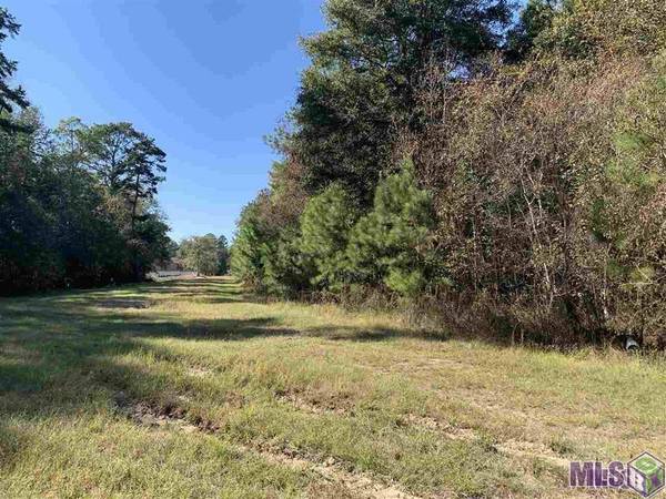 13510 Arnold Rd, Walker, LA 70785