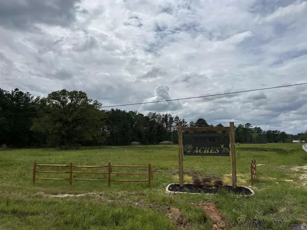 Walker, LA 70785,Lot 1C Weiss Rd