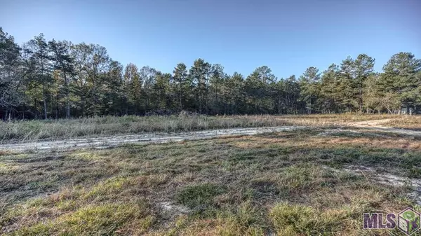 Walker, LA 70785,Lot 1A Weiss Rd