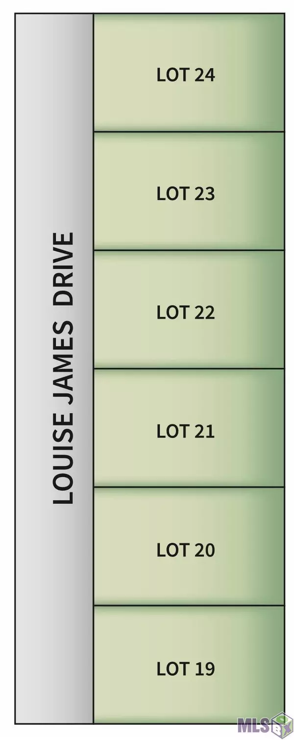 Baton Rouge, LA 70806,Lot 20 Louise James Dr