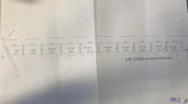 Livingston, LA 70754,Lot 4-A J W Ln