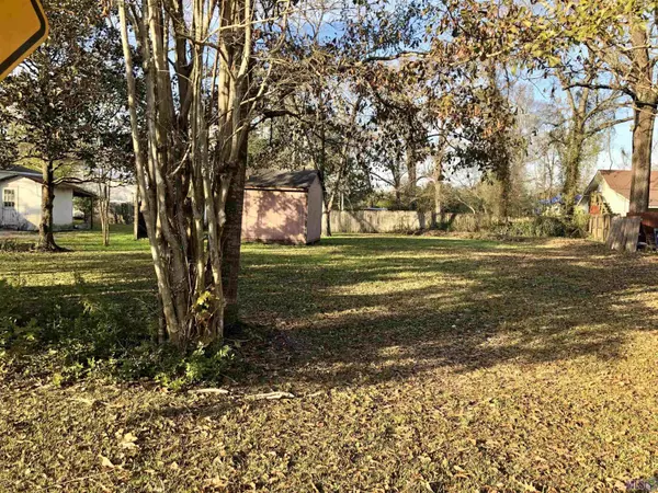 Lot 1-B Rodeo Dr, Denham Springs, LA 70726