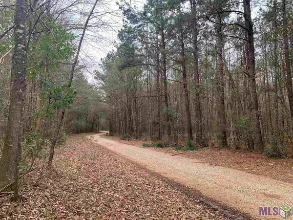 Lot 50 Burkett Ln, Denham Springs, LA 70706