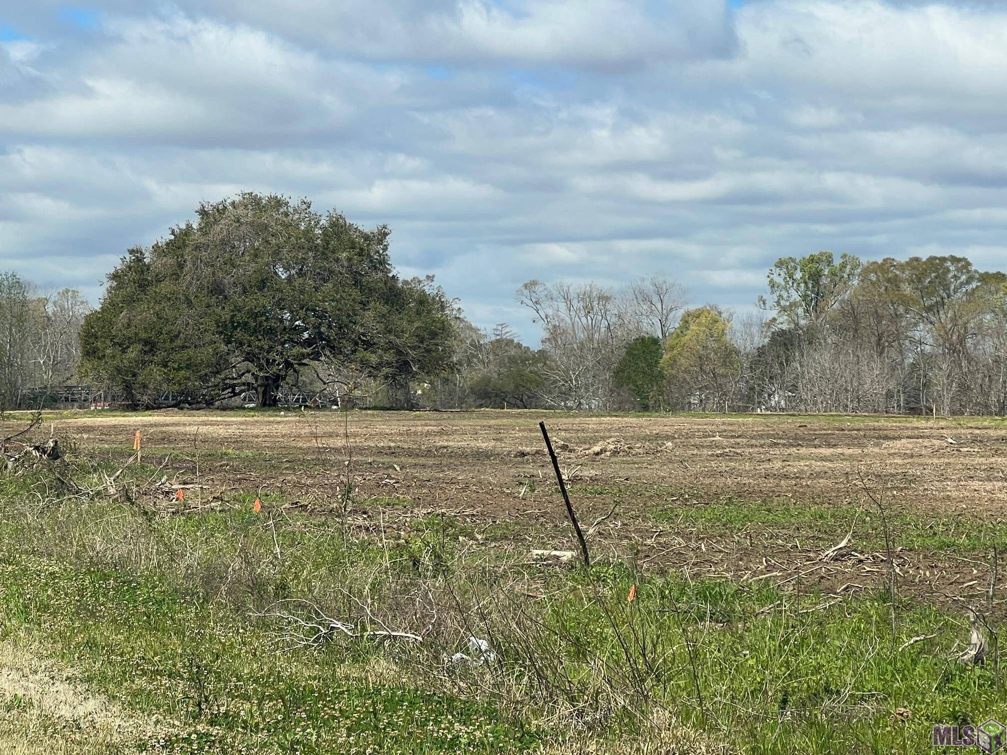 Prairieville, LA 70769,38186 Oakland Dr