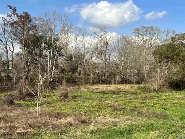 Prairieville, LA 70769,38190 Oakland Dr