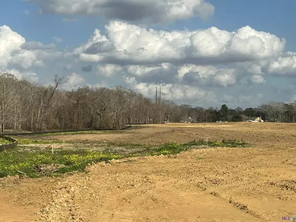 Prairieville, LA 70769,38262 Oakland Dr