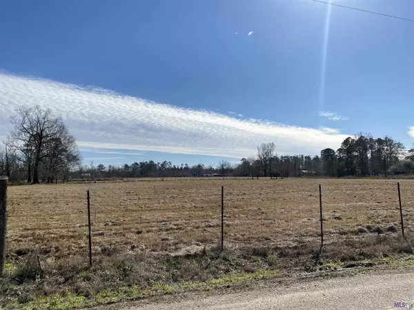 Holden, LA 70462,Tract A-3-B-1-C Onellion Rd