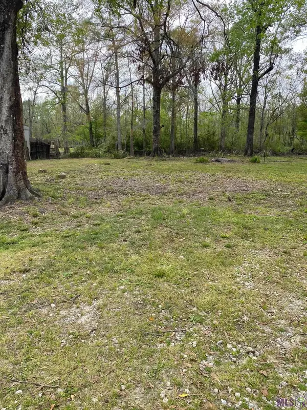 13653 Amite Ln, Maurepas, LA 70449