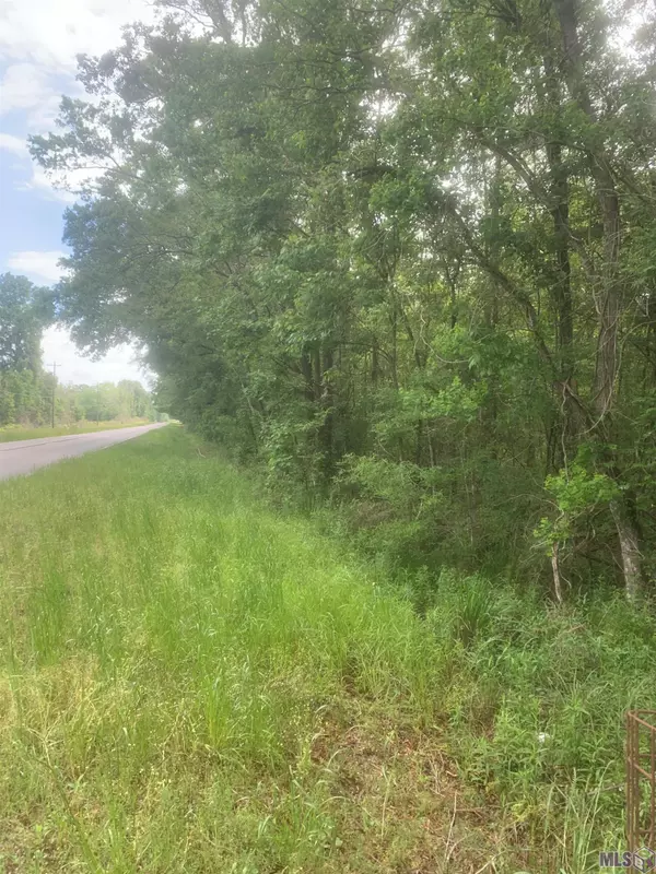 Ethel, LA 70730,Lot C La Hwy 955