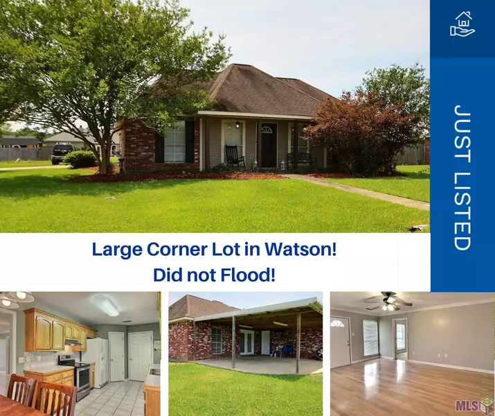 10096 Lexington Dr, Denham Springs, LA 70706