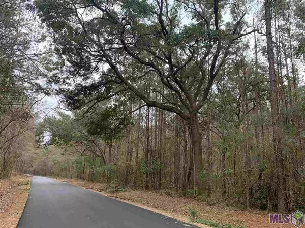 Denham Springs, LA 70706,Lot 37 Nesom Rd