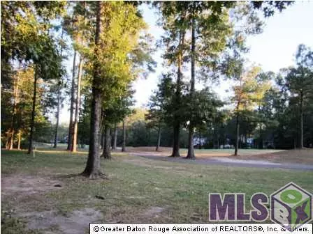St Francisville, LA 70775,14040 Clubhouse Way Dr