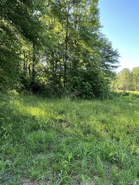 La Hwy 19, Wilson, LA 70789