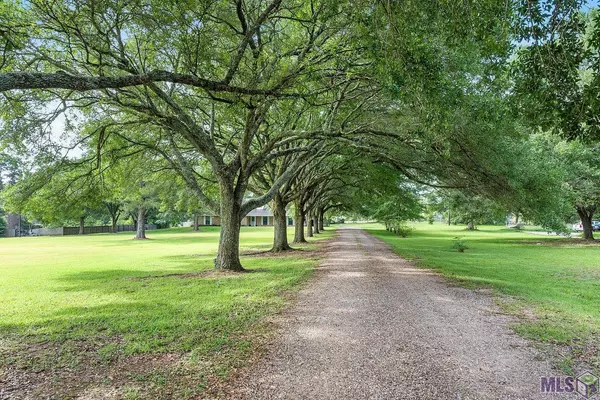 Clinton, LA 70722,7940 La Hwy 63