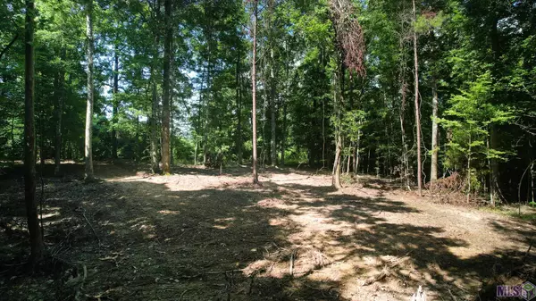 St Francisville, LA 70775,Lot B-2-A-1 Pittman Rd