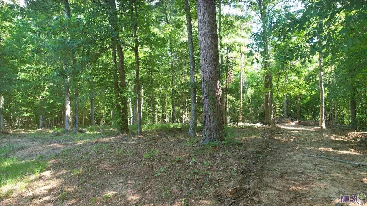 St Francisville, LA 70775,Lot B-2-A-1 Pittman Rd