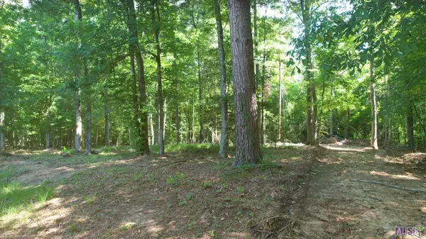 Lot B-2-A-1 Pittman Rd, St Francisville, LA 70775