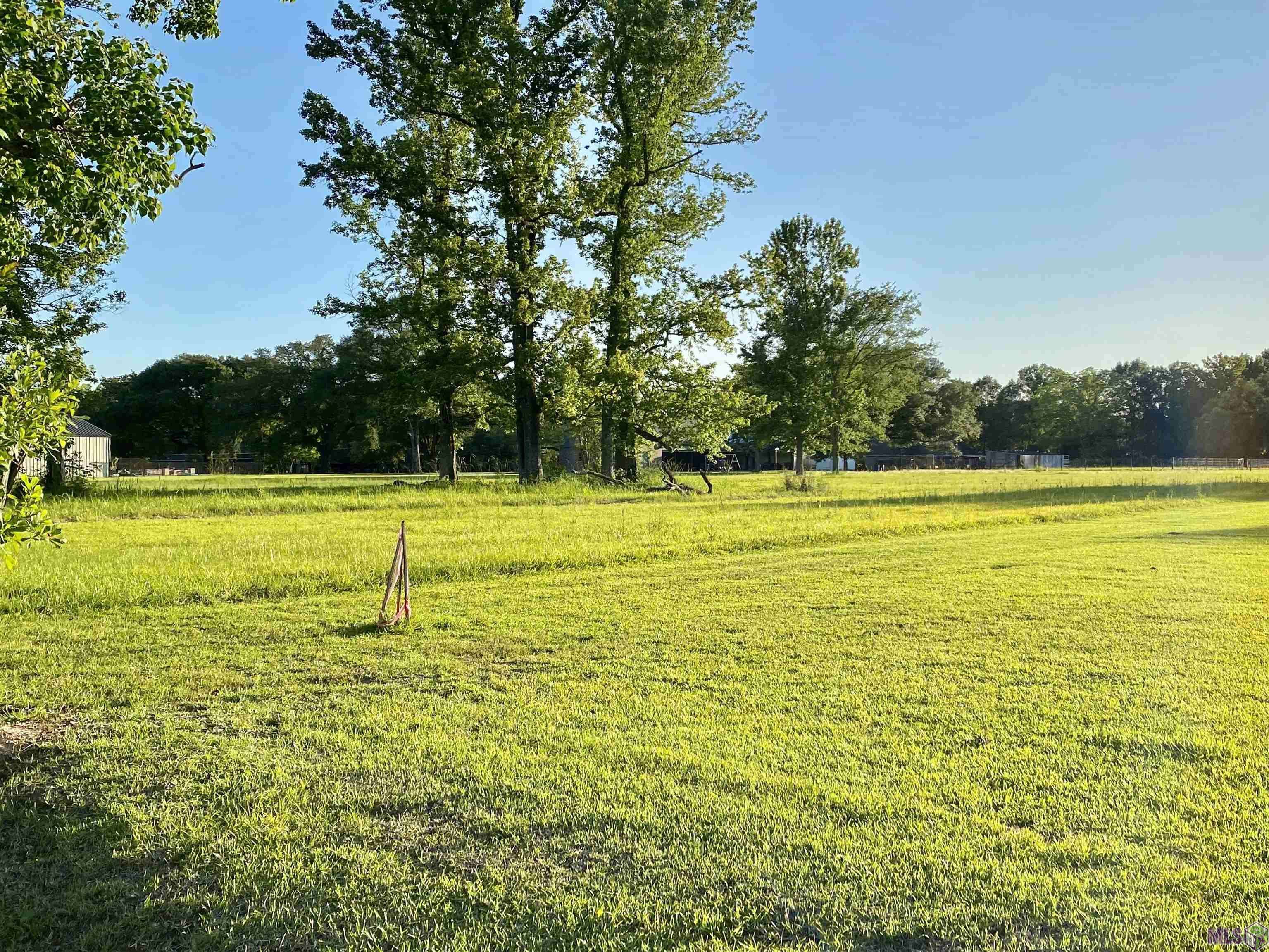 Gonzales, LA 70737,lot 5-B-2 J B Templet Rd