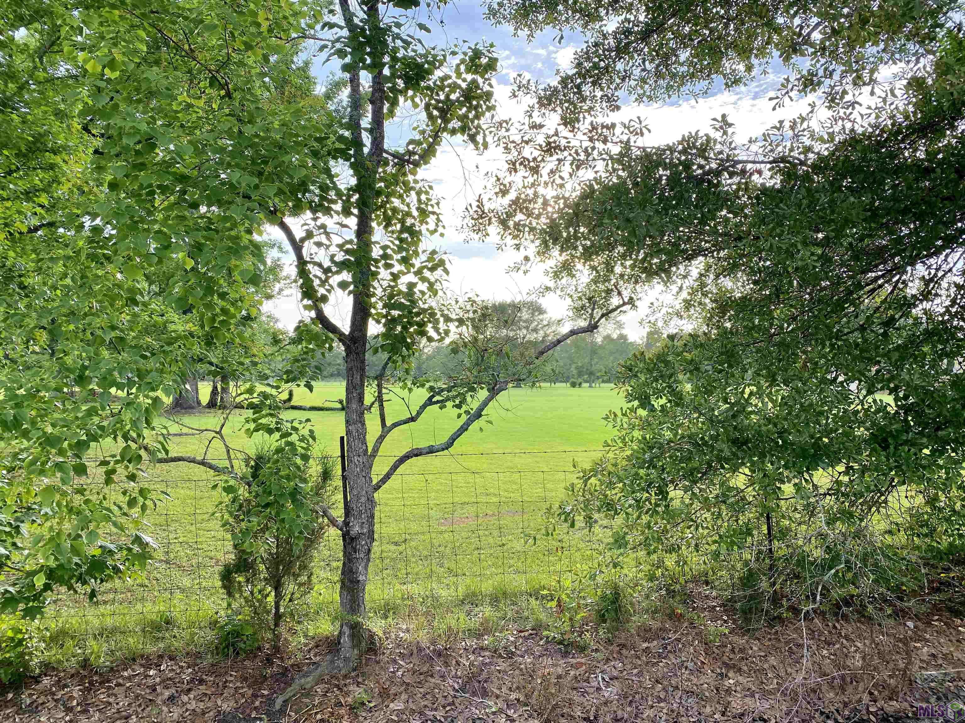 Gonzales, LA 70737,Lot 1 J B Templet Rd