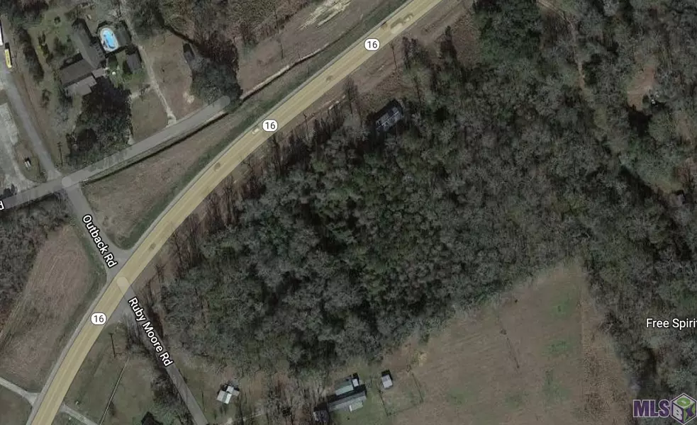 Tract SKS-1 La Hwy 16, Denham Springs, LA 70706