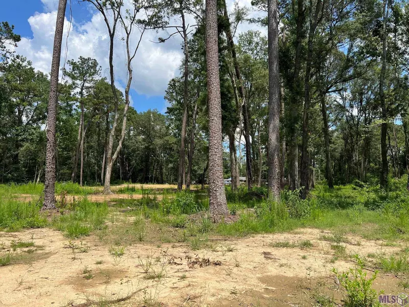 55289 Old U S 51, Independence, LA 70443