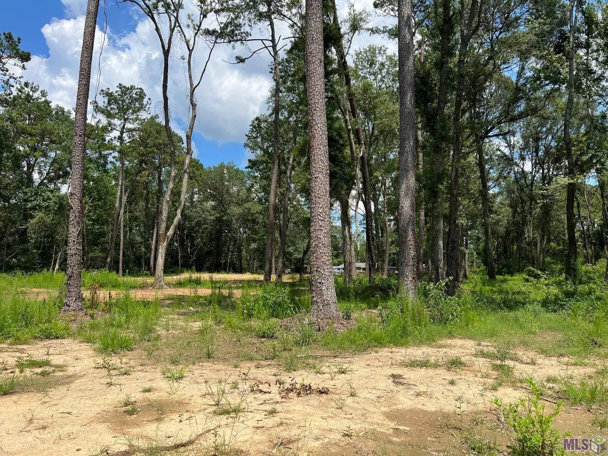 Independence, LA 70443,55289 Old U S 51