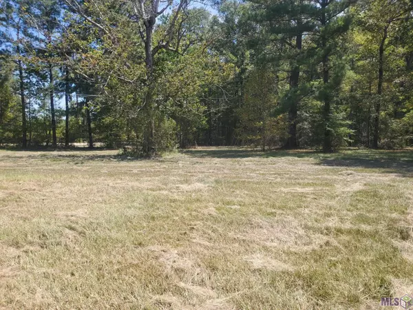 Lot D-4 N Achord Way, Pine Grove, LA 70453