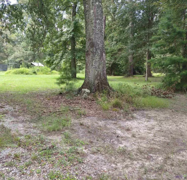 TBD Forest Dr, Walker, LA 70785