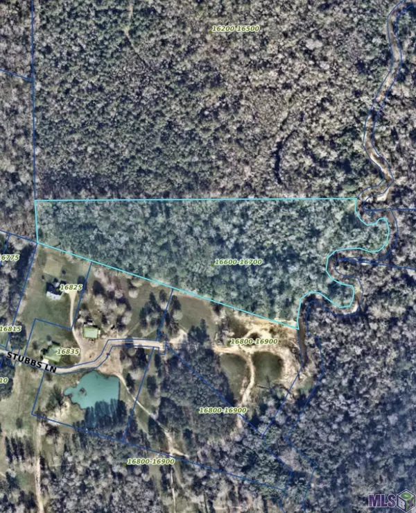 Pride, LA 70770,16819 Stubbs Ln