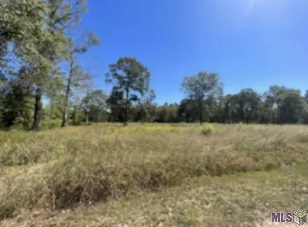 Denham Springs, LA 70706,Lot W-1-A-4/5 Lillian Ln