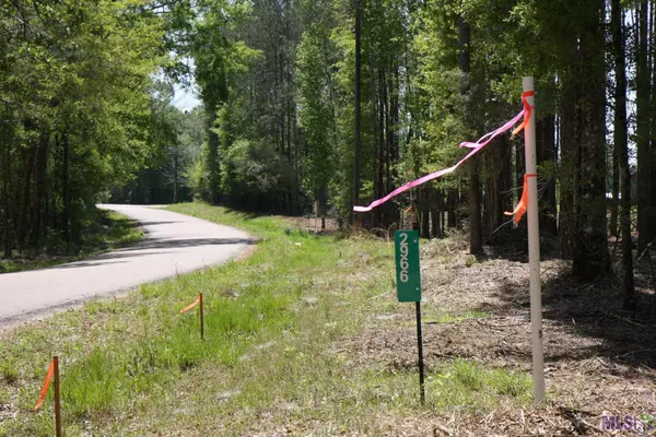 2950 Nesom Rd, Clinton, LA 70722