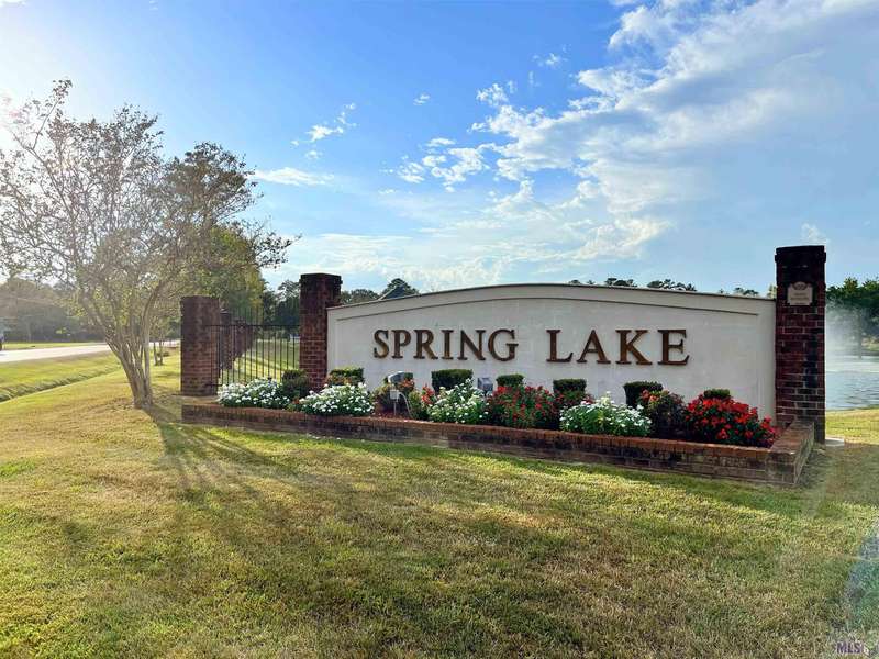 33733 Nature's Way, Walker, LA 70785