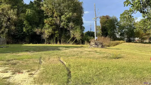 Walker, LA 70785,33733 Nature's Way