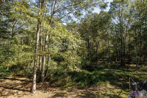 Pride, LA 70770,15210 El Ranchitos Ave