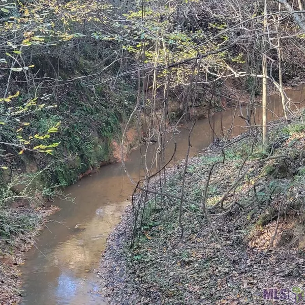 St Francisville, LA 70775,TBD La Hwy 966