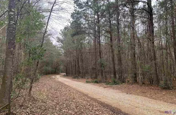 Lot 45 Burkett Ln, Denham Springs, LA 70706