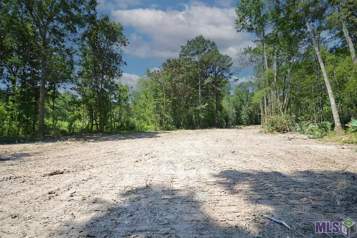 Walker, LA 70785,33590 Stella Ln