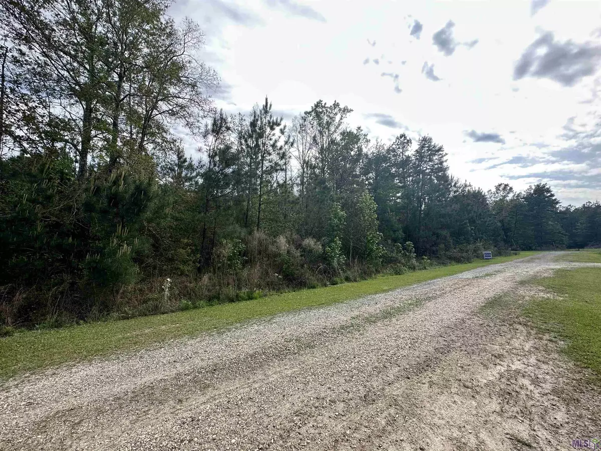 Walker, LA 70785,Craig Mack Rd