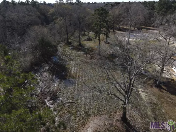 11354 Maxwell Dr, Walker, LA 70785