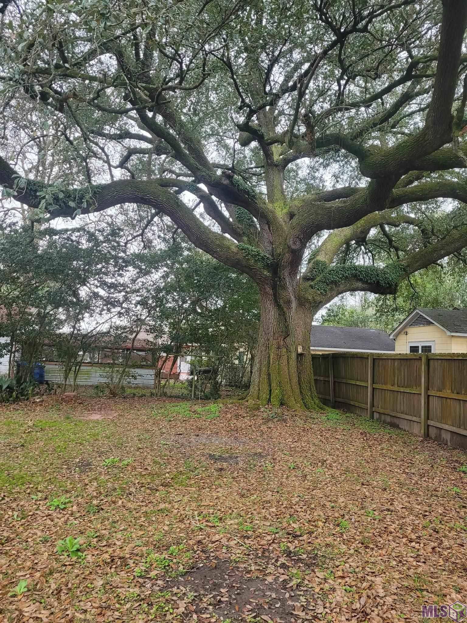 White Castle, LA 70788,32570 Willow St