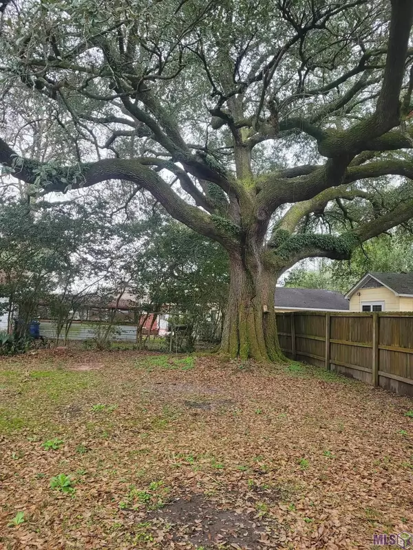 White Castle, LA 70788,32570 Willow St