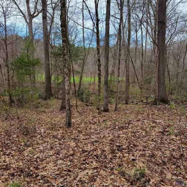TBD Pickneyville Rd, Woodville, MS 39669