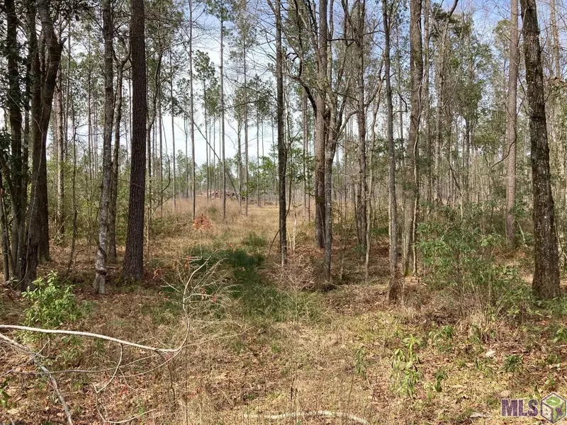 Y-1-A-1-D Pace Rd, Clinton, LA 70722